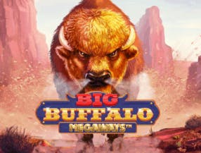 game logo by Skywind Group on instaspinn.com