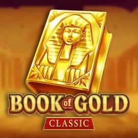 game logo by Playson on instaspinn.com